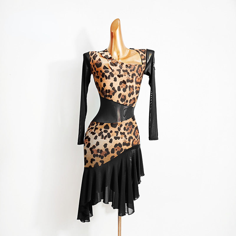 Women Long Mesh Leopard Long Sleeve Latin Dance Dress – DANCEYM