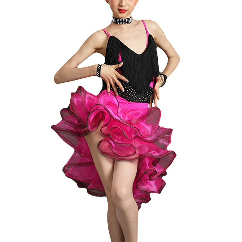 Girl Tassel Ruffles Latin Leotard Irregular Dance Dress Costume